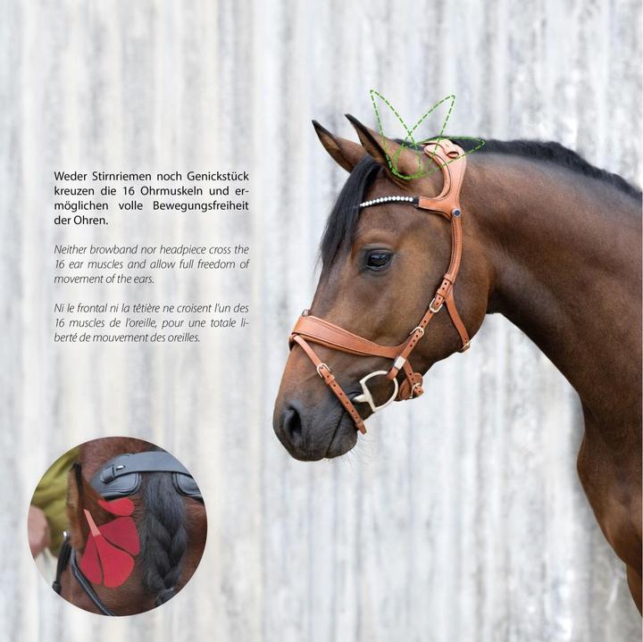Produktbild Stübben Zaum Freedom II Magic Tack mit Slide&Lock