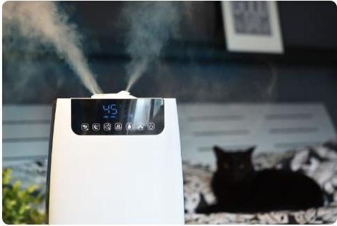Actual product image Blaupunkt AHS 802 Humidifier (40 m²)