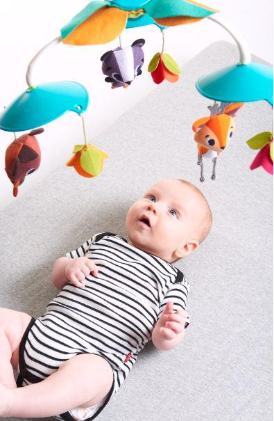 Actual product image Tiny Love Into the Forest