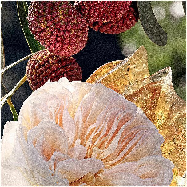 Actual product image Chloé Chloé (Eau de parfum, 100 ml)