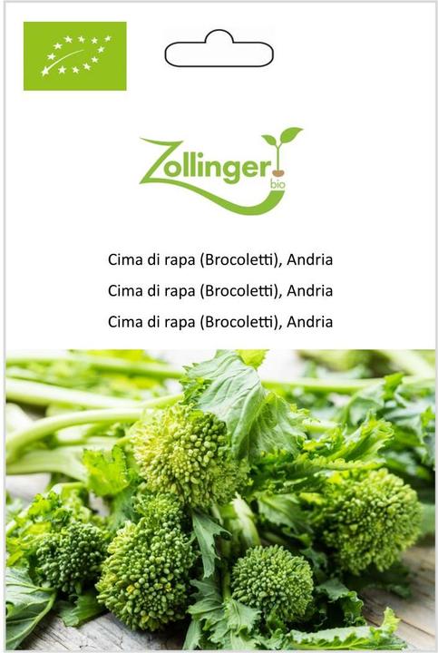 Produktbild Zollinger Bio Cima di rapa (Brocoletti), Andria (Keimlinge)