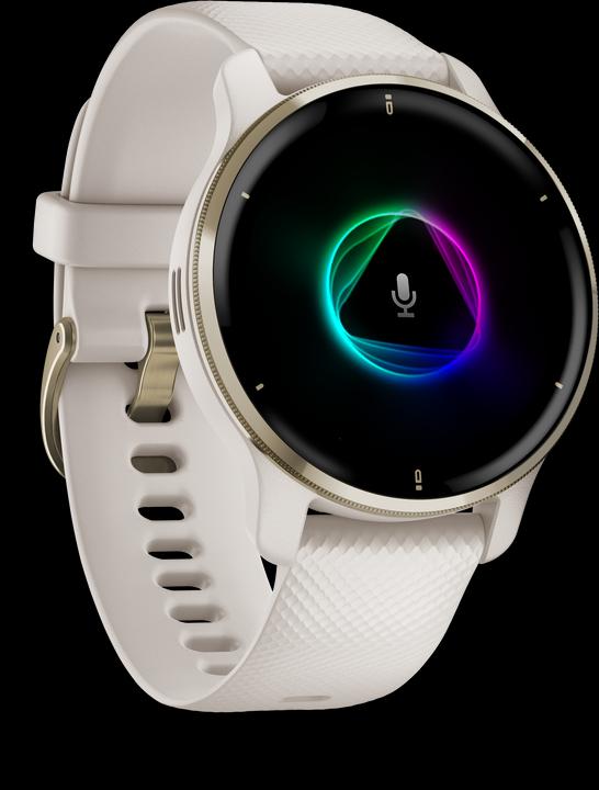 Garmin Venu 2 Plus (43 mm)