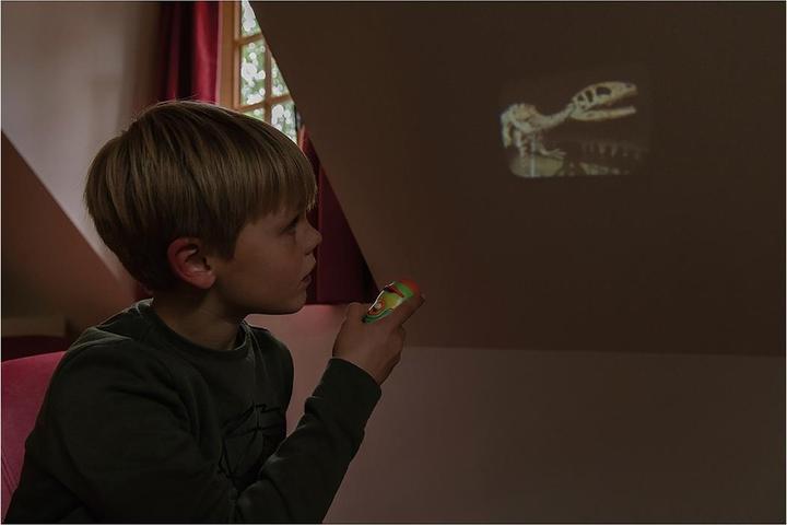 Image du produit Scratch Projecteur lampe de poche dinosaure, disques d'image inclus (Allemand, Français, Italien, Anglais)