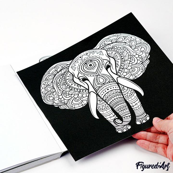 Immagine prodotto Staedtler Set di matite colorate con blocco da colorare con disegni di animali (Multicolore)