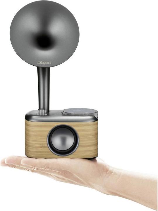 Produktbild Sangean CP 100D (DAB+, DAB, FM, Bluetooth)