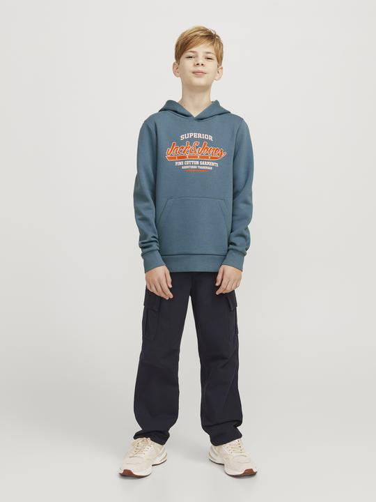 Actual product image Jack & Jones JJELOGO SWEAT HOOD 2 COL 24/25 NOOS JNR (176)