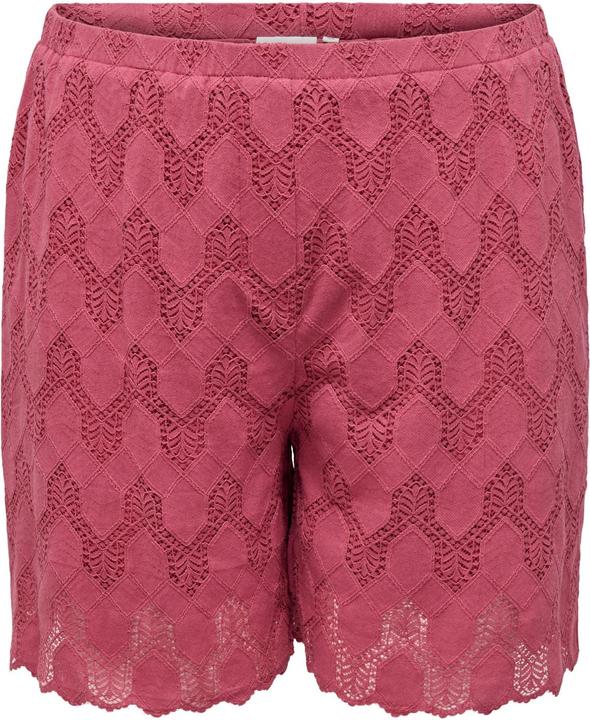 Only CARCLEANOR Normal geschnitten Shorts Shorts