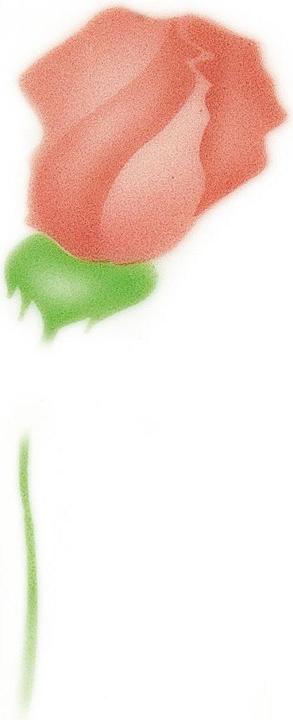 Actual product image Martellato Airbrush stencil rose and gift