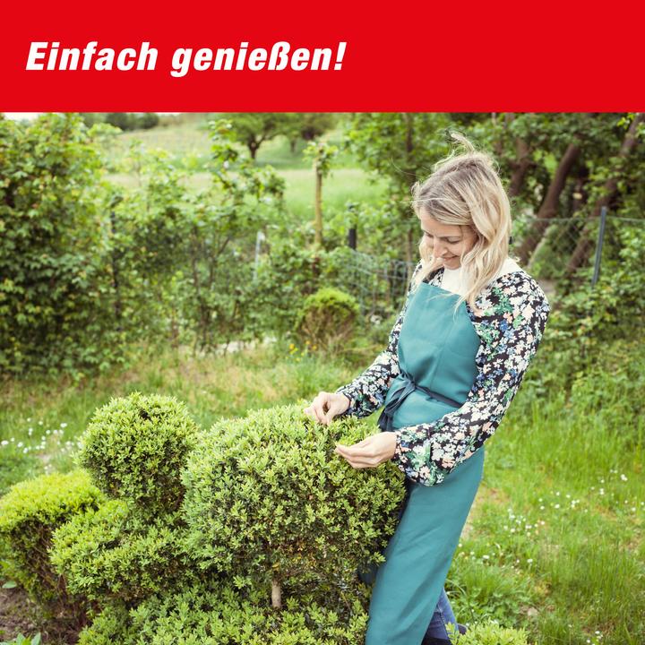 Produktbild Swissinno Buchsbaumzünsler-Falle inkl. 1x Pheromon