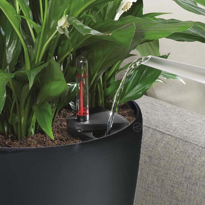 Actual product image Lechuza Classico (43 cm)