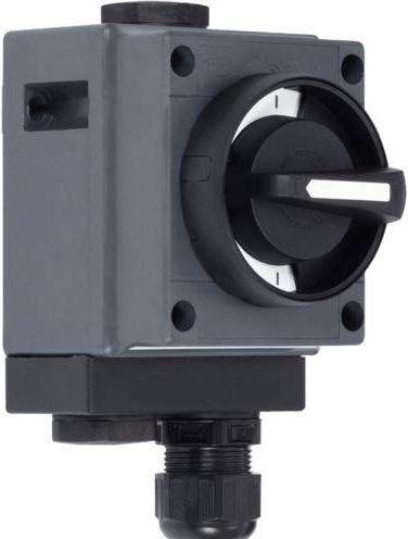 Image du produit Stahl Wechselschalter 8040/11-V30-035-B