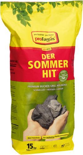 Image du produit ProFagus Holzkohle Sommerhit 15 kg (15 kg)