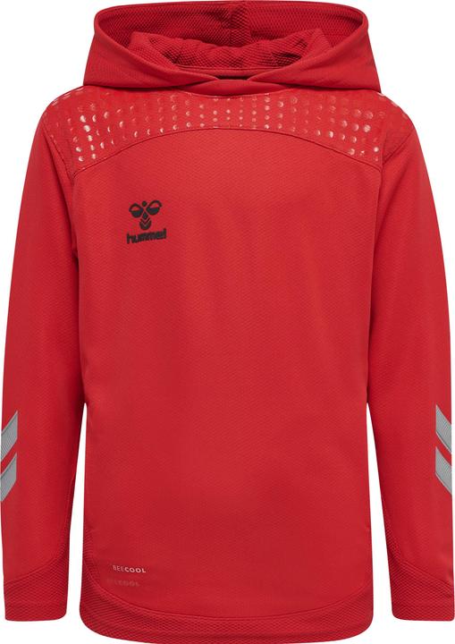 hummel Lead Poly Hoodie Kids