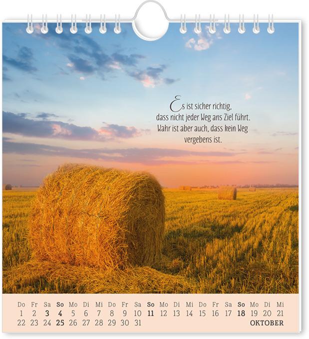 Actual product image Postkartenkalender 2026 Lebenszeichen (16 x 17 cm, German)