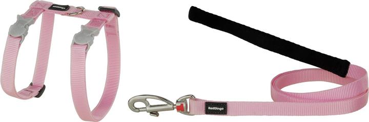 Red Dingo Classico (XS, Gatto, Generale)