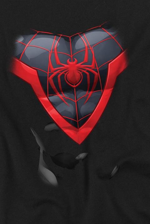 Produktbild Spiderman TShirt (XL)