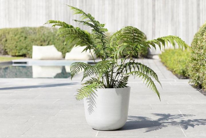 Actual product image Ecopots Oslo (35 cm)