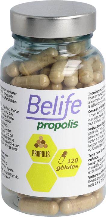Beelife Propolis Gélules (120 Stück, Kapseln, 68 g)
