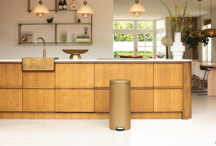 Image du produit Brabantia newIcon (30 l)
