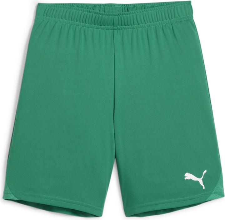 Produktbild Puma teamGOAL Shorts Jr (164)