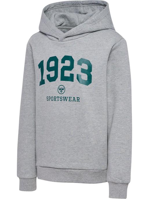 Actual product image hummel hmlNIPPS HOODIE (122)