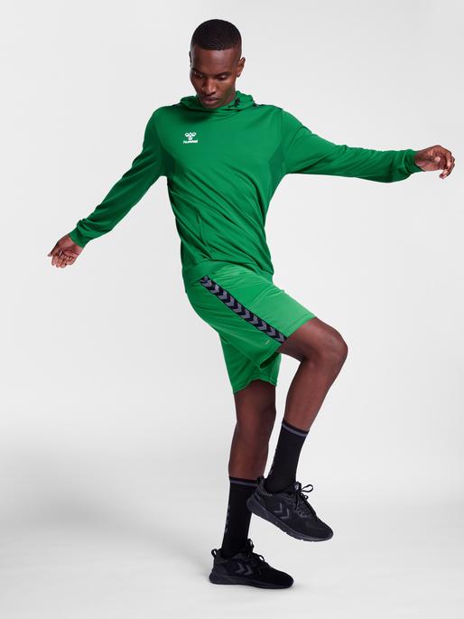 Actual product image hummel Hmlauthentic Pl Hoodie (L)