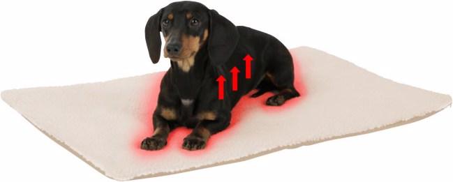 Image du produit Kerbl Theo (Chien, Chat)