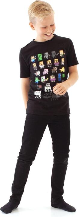 Actual product image Minecraft Sprite character (128)