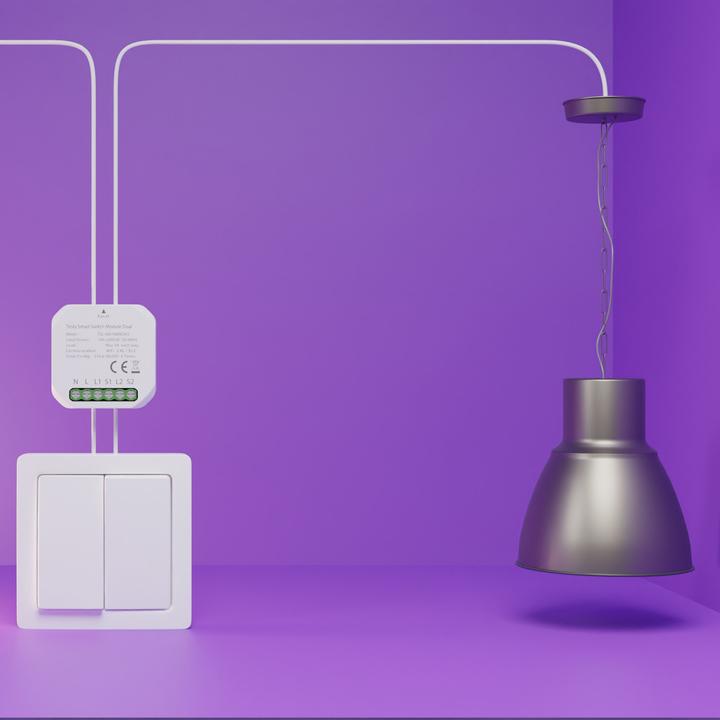 Produktbild Tesla Smart Switch Module Dual
