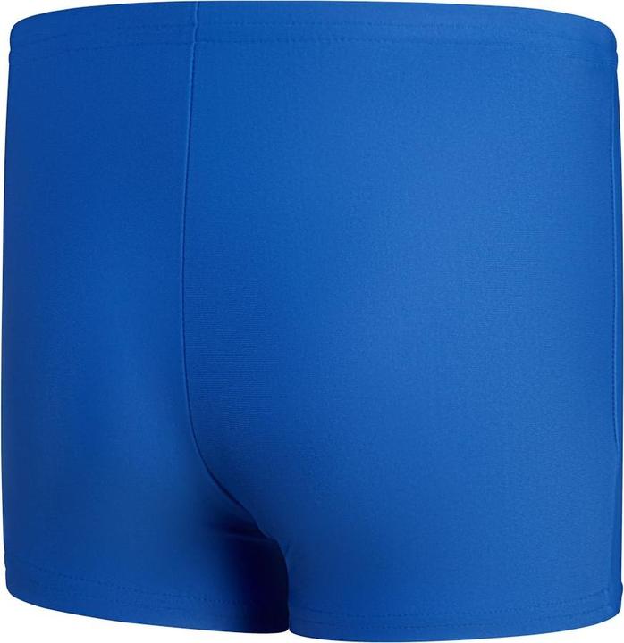 Actual product image Speedo Placement Aquashort (80, 86)