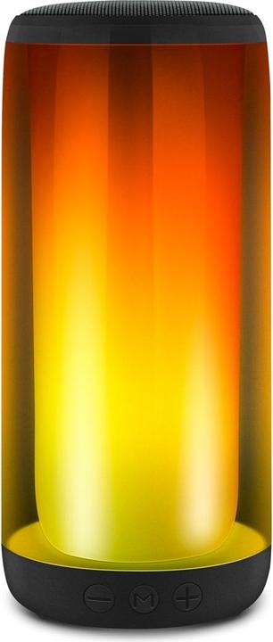 Actual product image Toshiba Haut-parleurs RMS x2 (Battery operated)