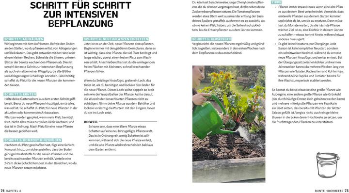 Produktbild Bunte Beete - Einfach gärtnern mit intensiver Bepflanzung in Hochbeet und Freiland (Deutsch, Saskia Voigt, 2025)