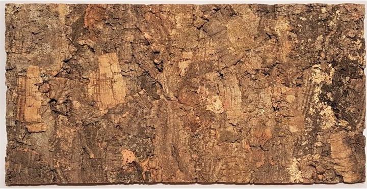 Produktbild Delphin-Amazonia Zierkorkrückwand Burma, 60x30cm (2 Stk)