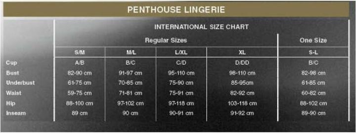 Actual product image Penthouse Lingerie Teddy "Devil's advocate (M/L)