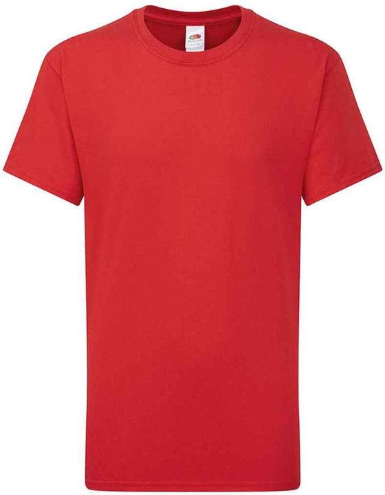 Fruit of the Loom Iconic 195 TShirt (140, 146)