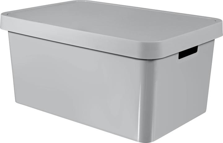 Immagine prodotto Curver Infinity (57 x 39 x 27 cm, 45 l)