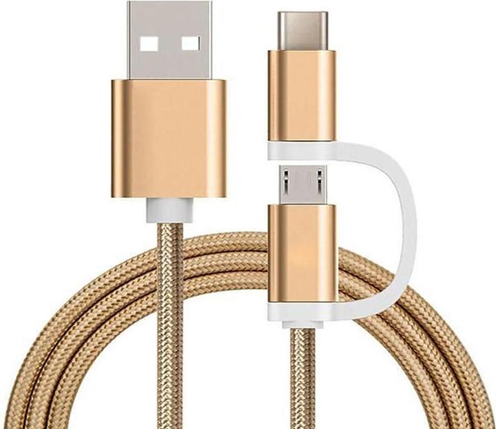 Produktbild Reekin Ladekabel 2in1 USB Micro & Type C (1 m, USB 2.0, 4 W)
