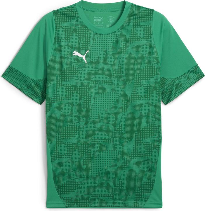 Puma teamCUP Training Jersey