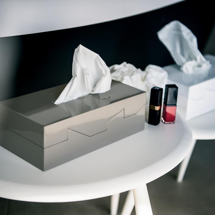 Actual product image spirella Silhouette