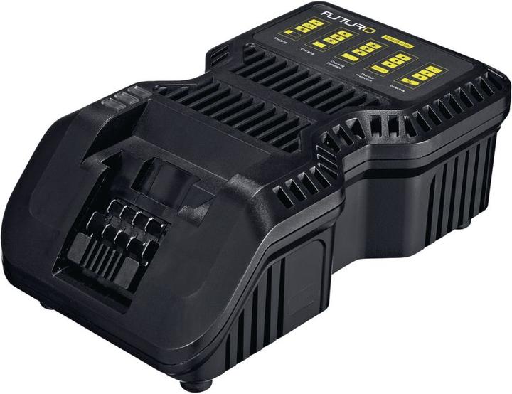 Futuro BRW Charger (12 V)