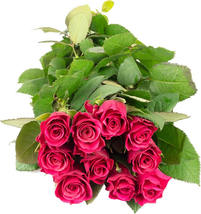 Actual product image Flowerbox Bunch rose - pink Tacazzi (Cut flowers)
