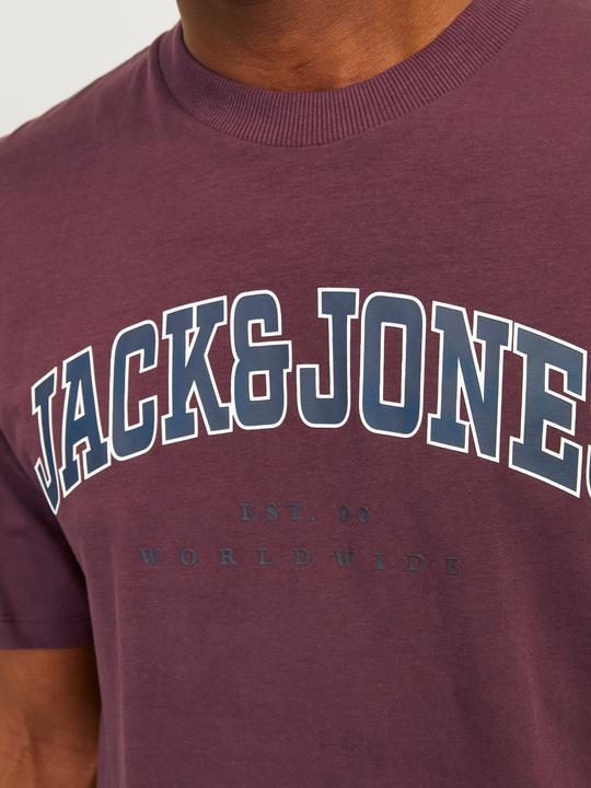 Immagine prodotto Jack & Jones Jjecaleb Varsity Tee Ss O-Neck Noos (S)