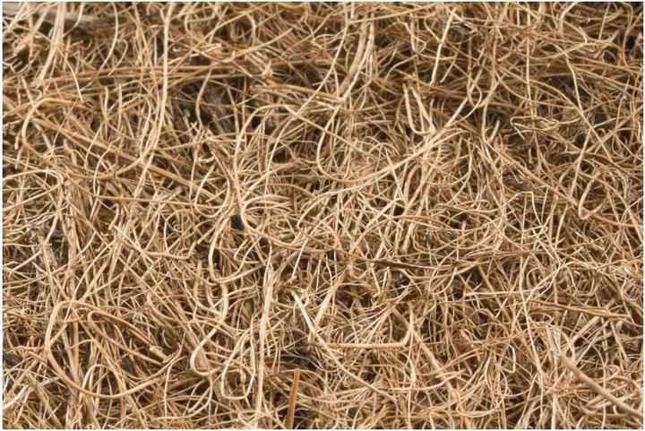 Actual product image Windhager Mulching disc Cocodisc