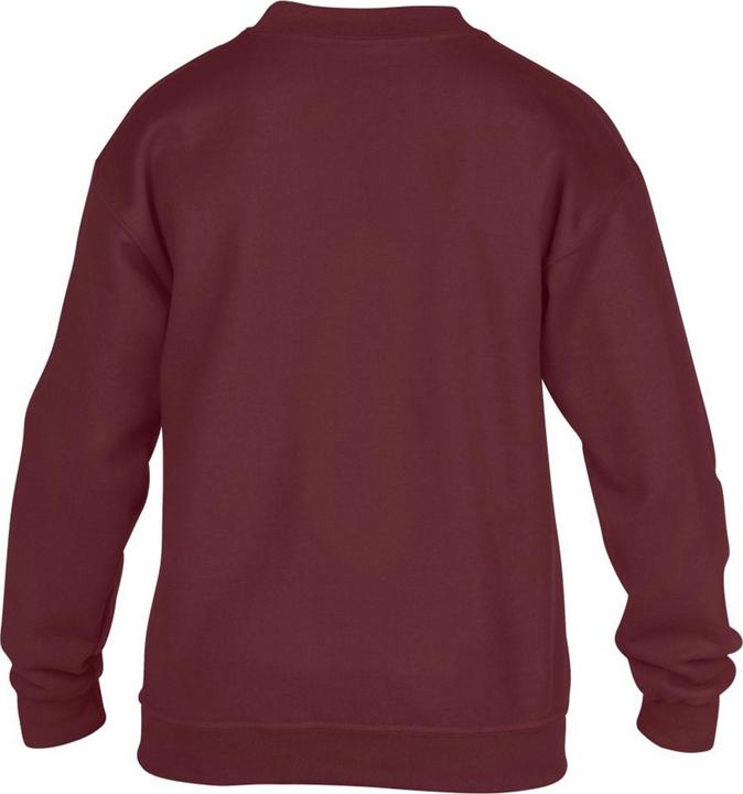 Actual product image Gildan Sweatshirt With Crew Neck (M)
