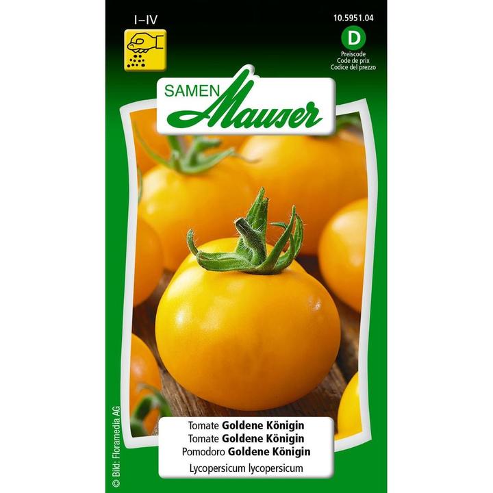 Actual product image Samen Mauser Tomato Golden Queen (Vegetable seeds)