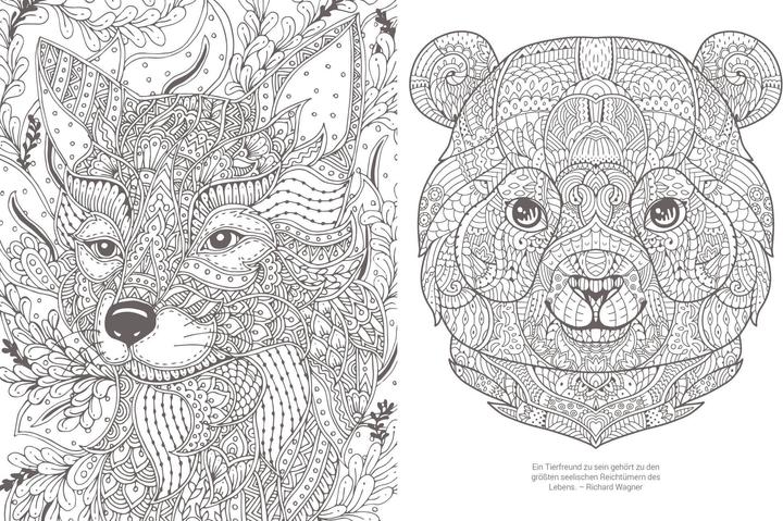 Actual product image Inspiration soul companion | 50 luminous motifs to colour in for spiritual strength and energy