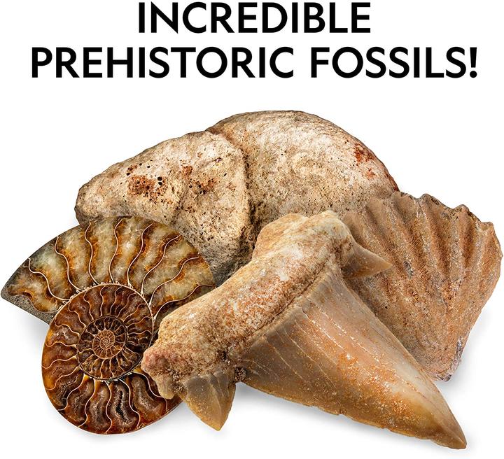 Produktbild National Geographic Rocks and Fossils Kit