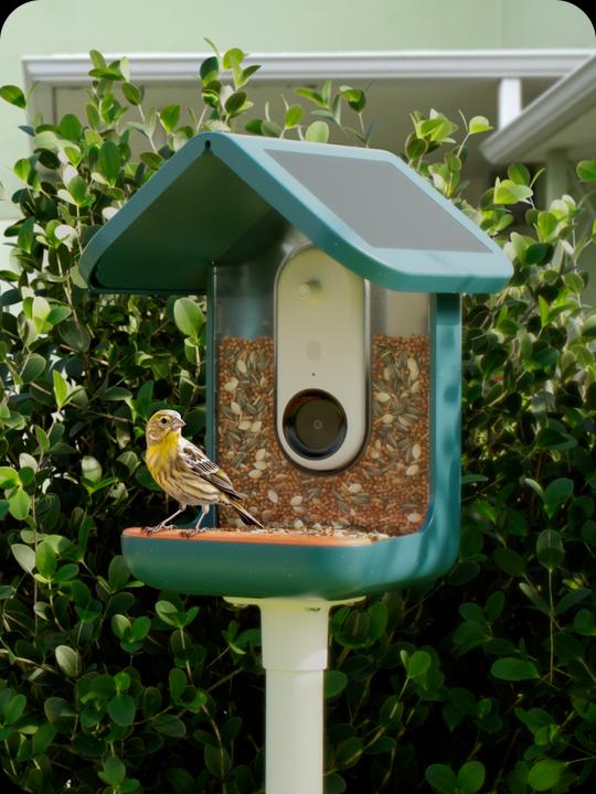 Immagine prodotto Bird Buddy Distributore di cibo