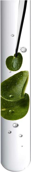 Actual product image Kérastase Chroma Absolu Bain Riche Chroma Respect (250 ml, Liquid shampoo)