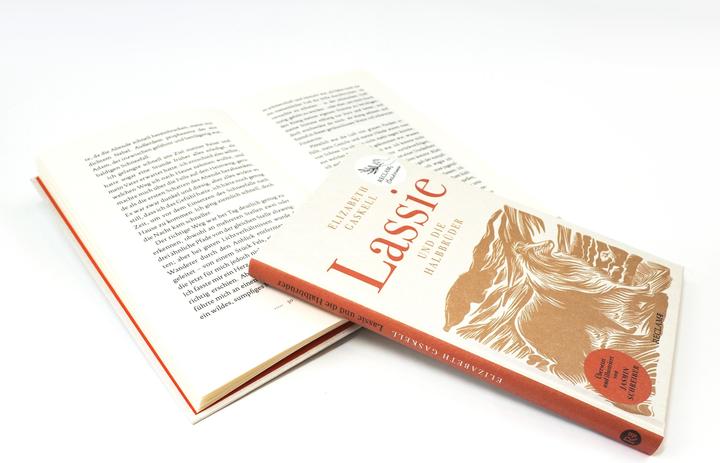 Image du produit Lassie und die Halbbrüder (Allemand, Elizabeth Gaskell, 2024)